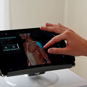Elite Fisio Medical Lab – Fisioterapia e Riabilitazione - osteopatia cervicale Verona